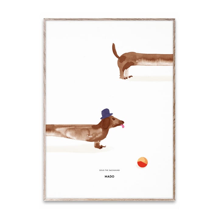 Doug the Dachshund αφίσα, 50x70 cm Paper Collective