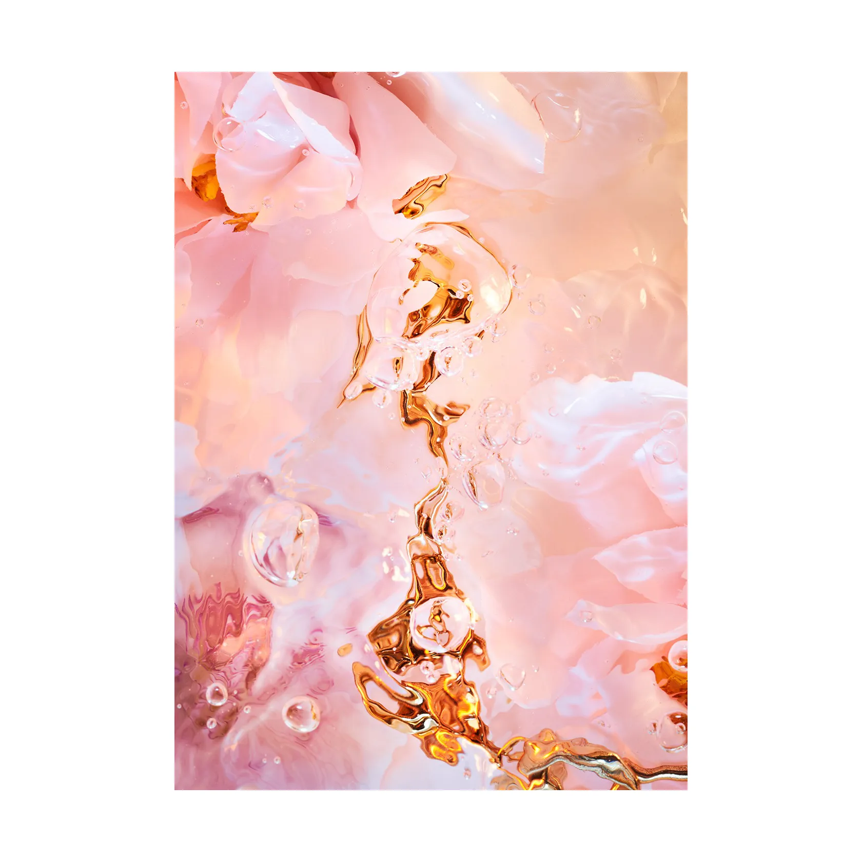Αφίσα Flora Aquatica 02, 50x70 cm Paper Collective