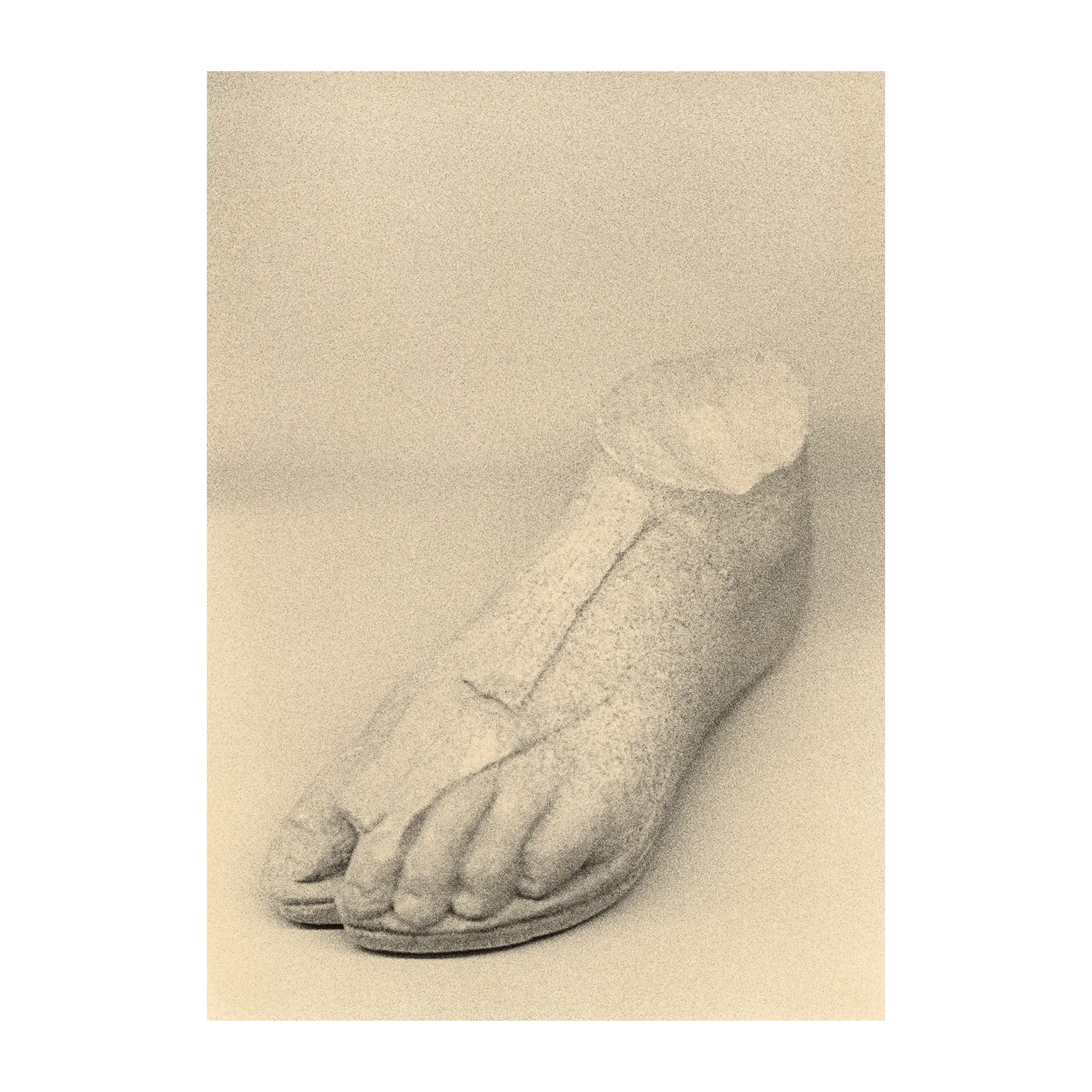 Αφίσα The Foot, 50x70 cm Paper Collective