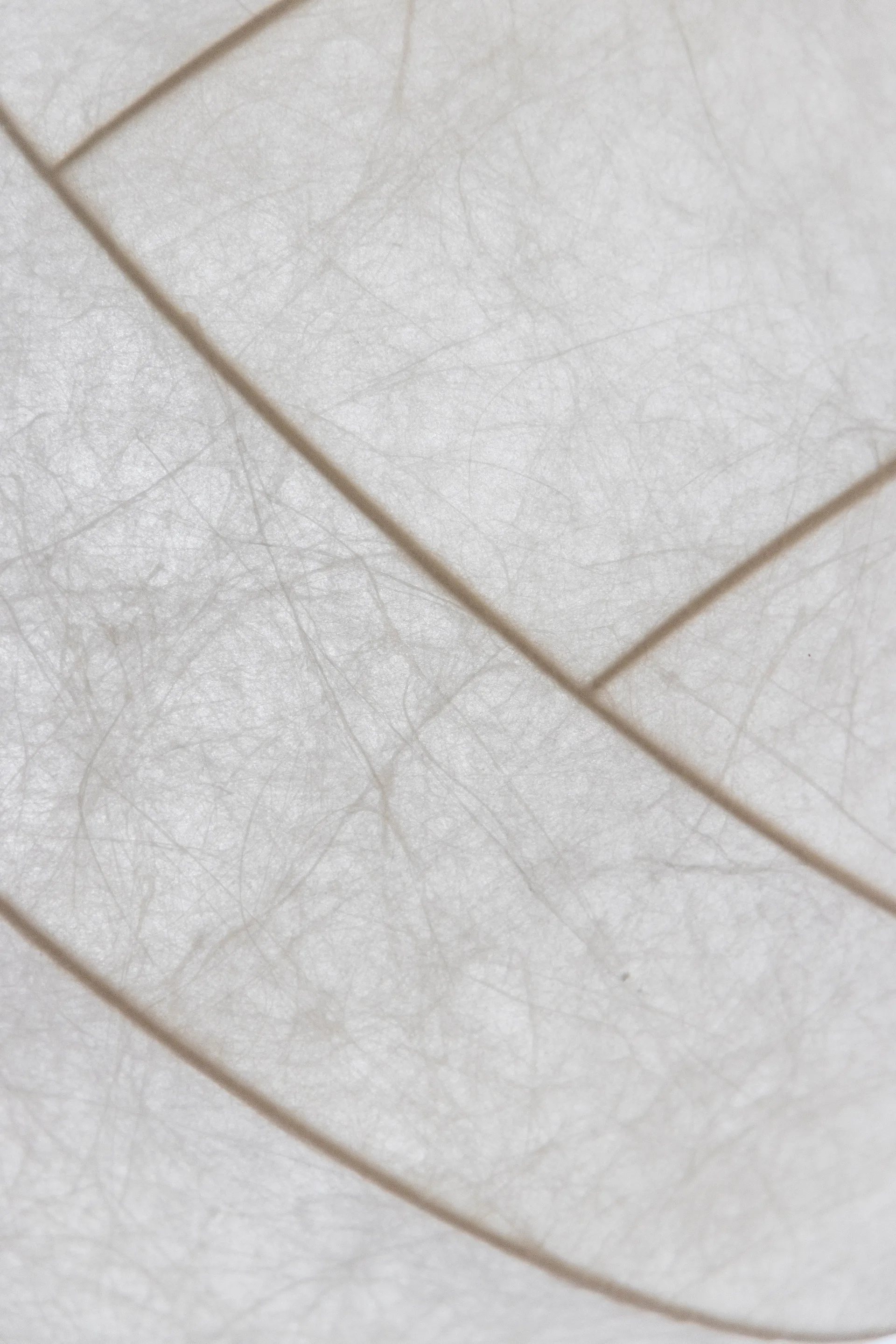 Turner 80 κρεμαστό φωτιστικό, Άσπρο Pholc