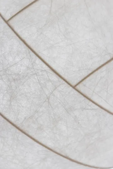 Turner 80 κρεμαστό φωτιστικό - Άσπρο - Pholc