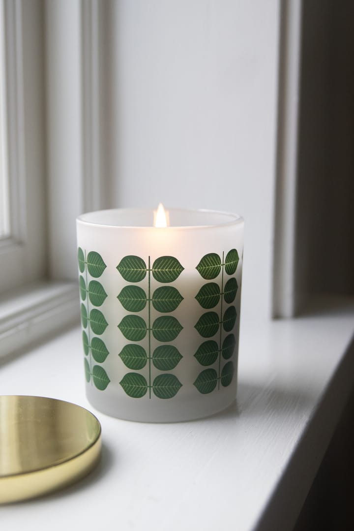 Stig L Berså scented candle - Frosted glass-χρυσαφί - Pluto Design