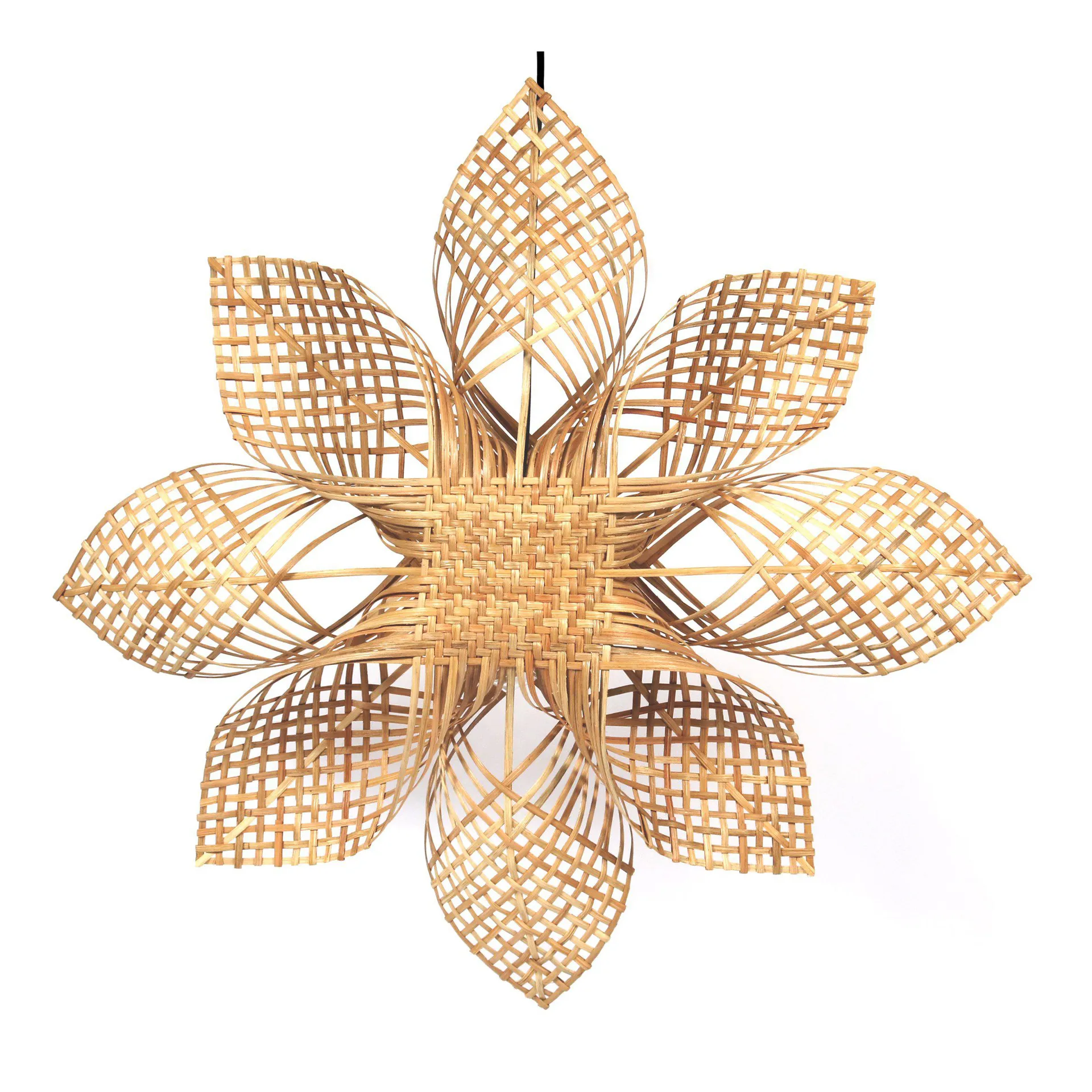 Anna Χριστουγέννων αστέρι φυσικό, 68 cm PR Home