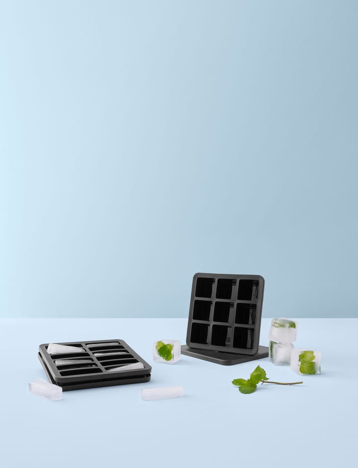FREEZE-IT παγοθήκη με καπάκι, 2,5x19x19 cm RIG-TIG