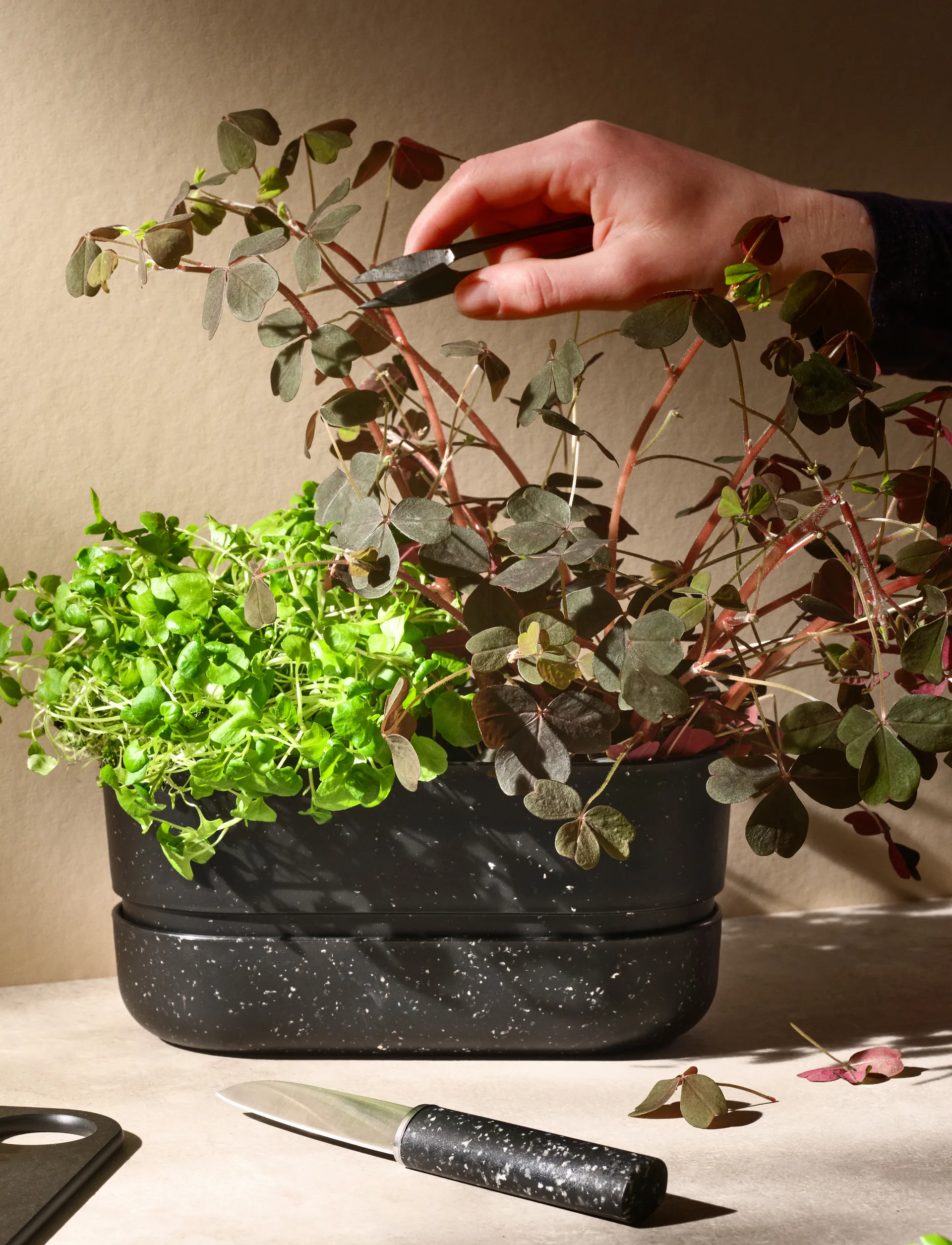 REDO μαχαίρι αποφλοίωσης 18,8 cm, Black RIG-TIG