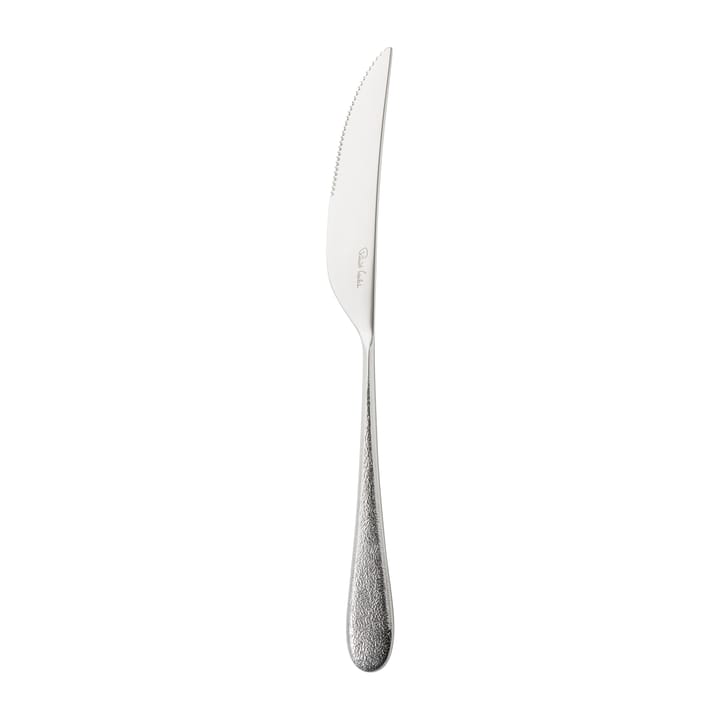 Sandstone μαχαίρι για φιλέτο λείο - Ανοξείδωτο ατσάλι - Robert Welch
