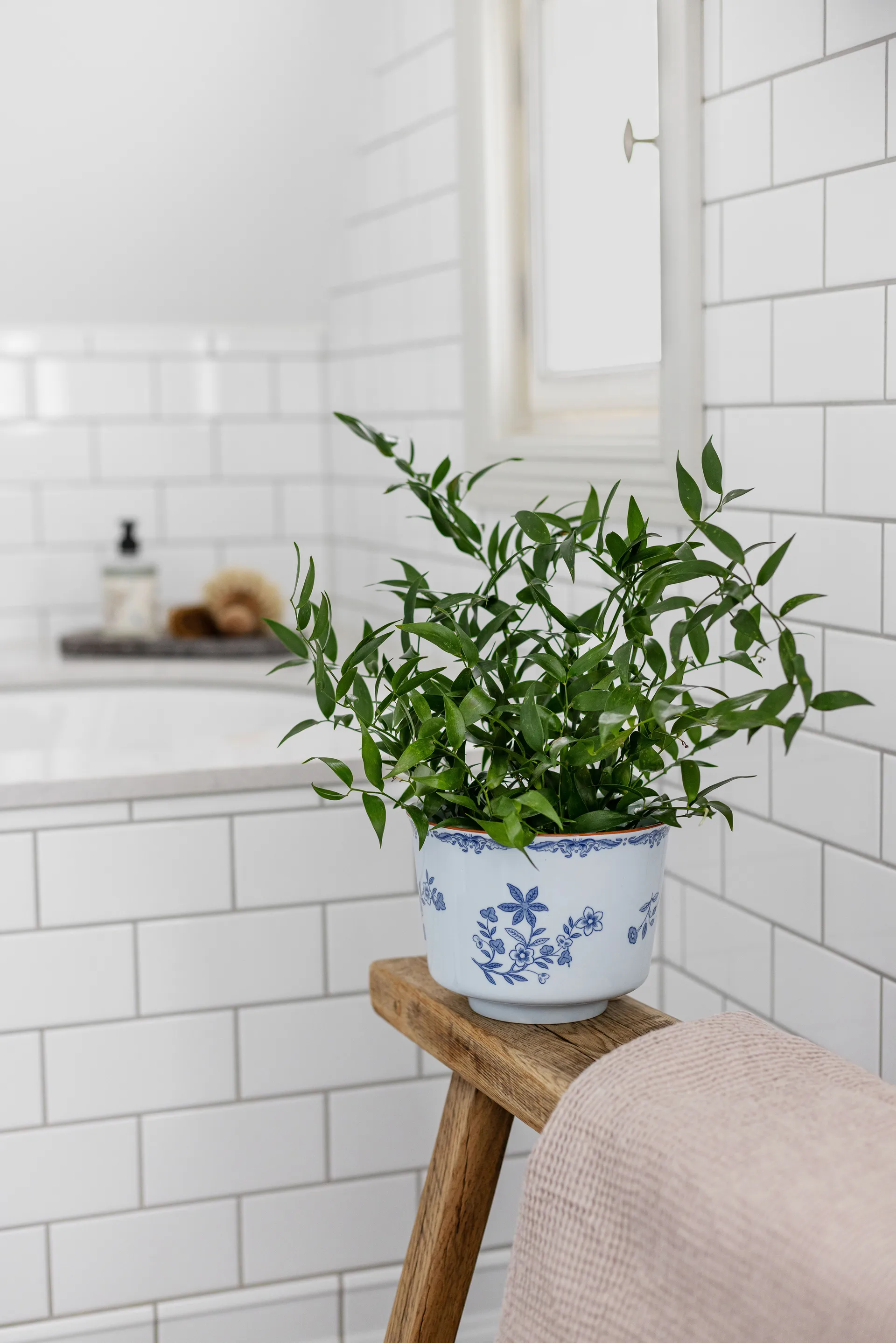 Γλάστρα Ostindia, Ø17x13 εκ Rörstrand