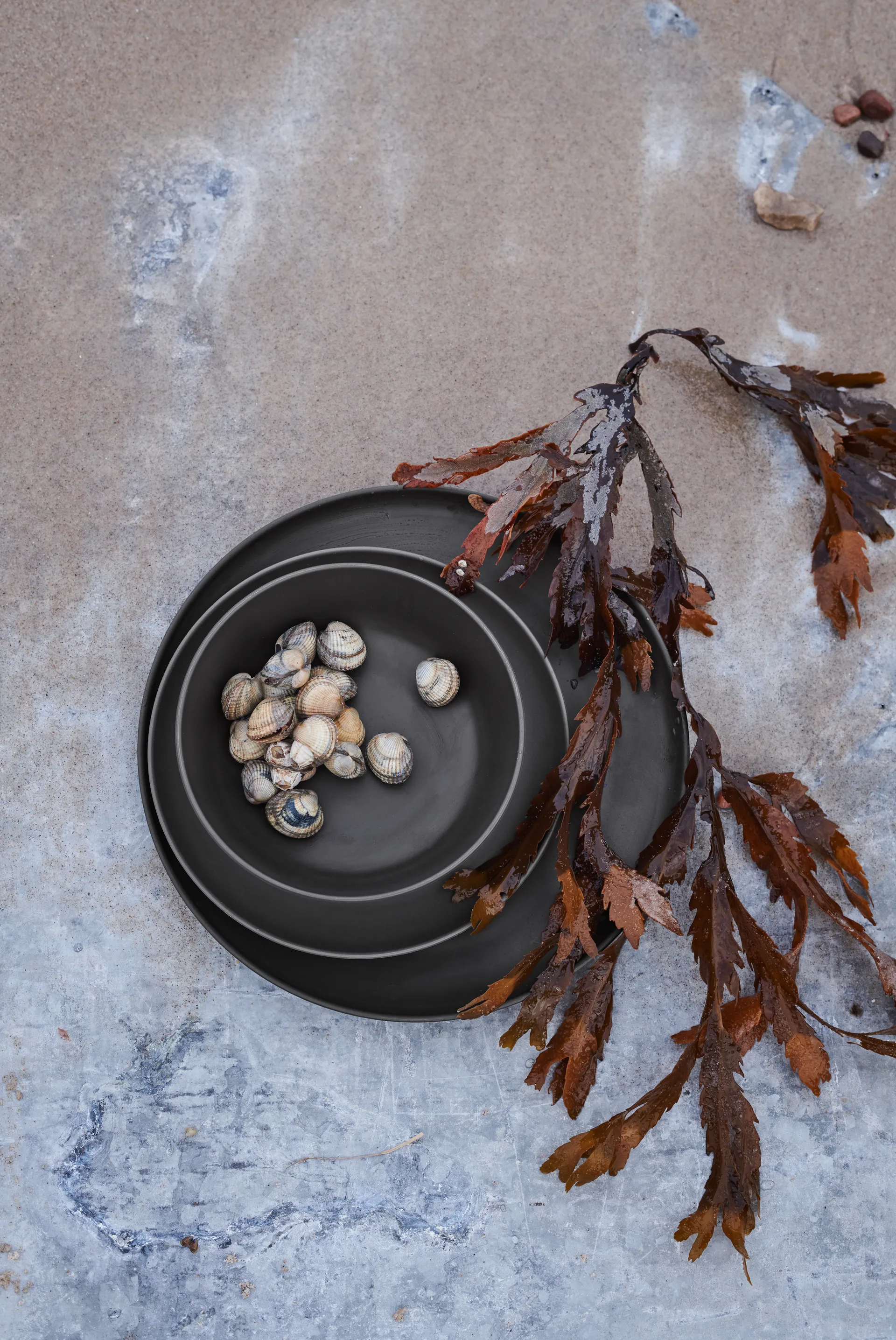 Grand Cru Take μικρό πιάτο Ø19,5 cm Συσκευασία 2 τεμαχίων, γκρι Rosendahl