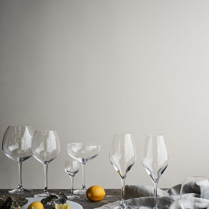Ποτήρι σαμπάνιας Premium 37 cl 2-pack, Διαφανές Rosendahl