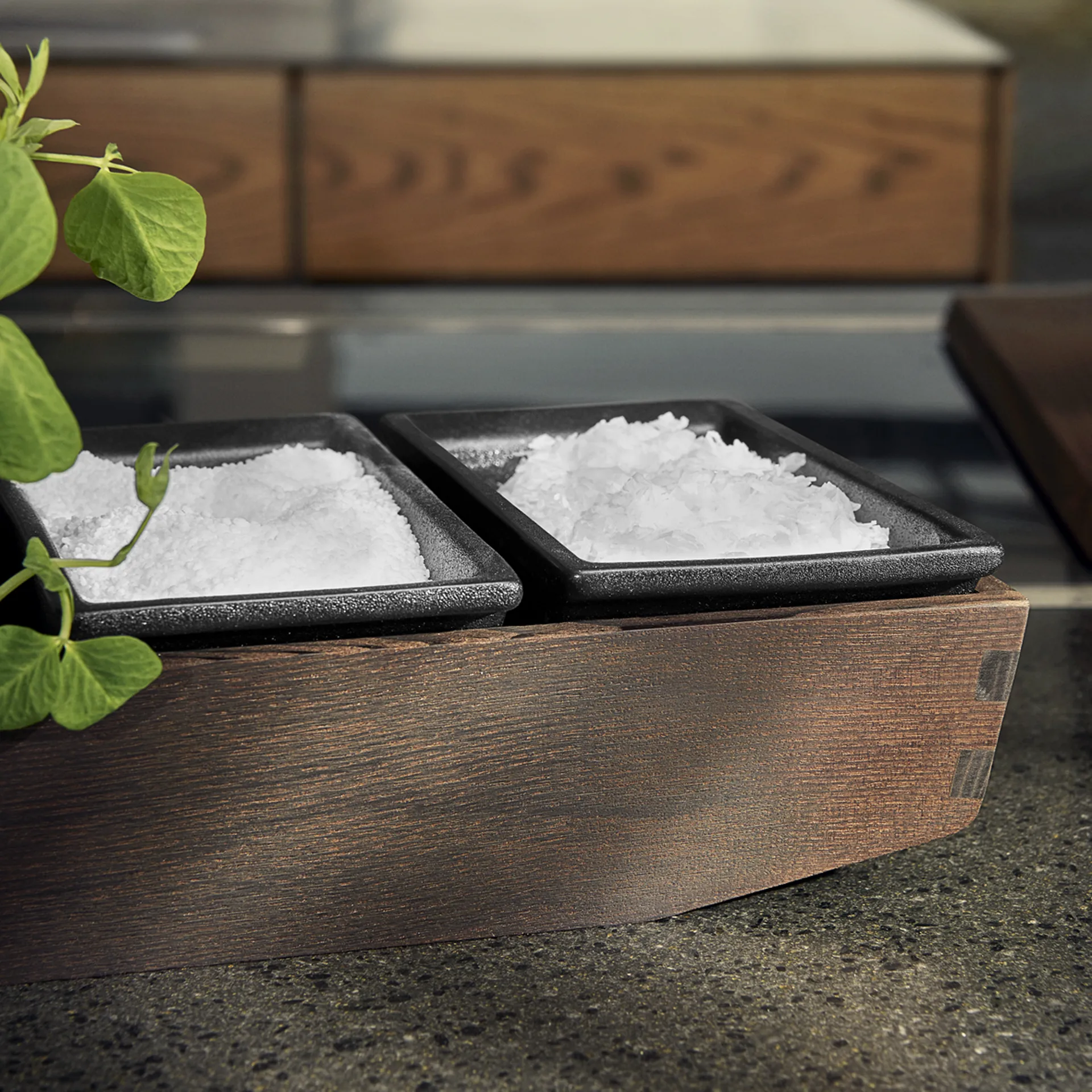 Rå αλατιέρα 6.5 cm, Μαύρο Rosendahl