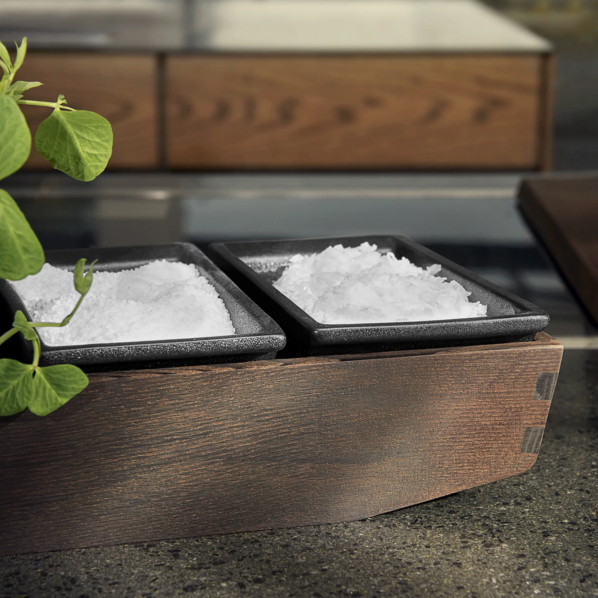 Rå δίσκος μπαχαρικών 7.5 cm, Θερμικά κατεργασμένο δεσποτάκι Rosendahl