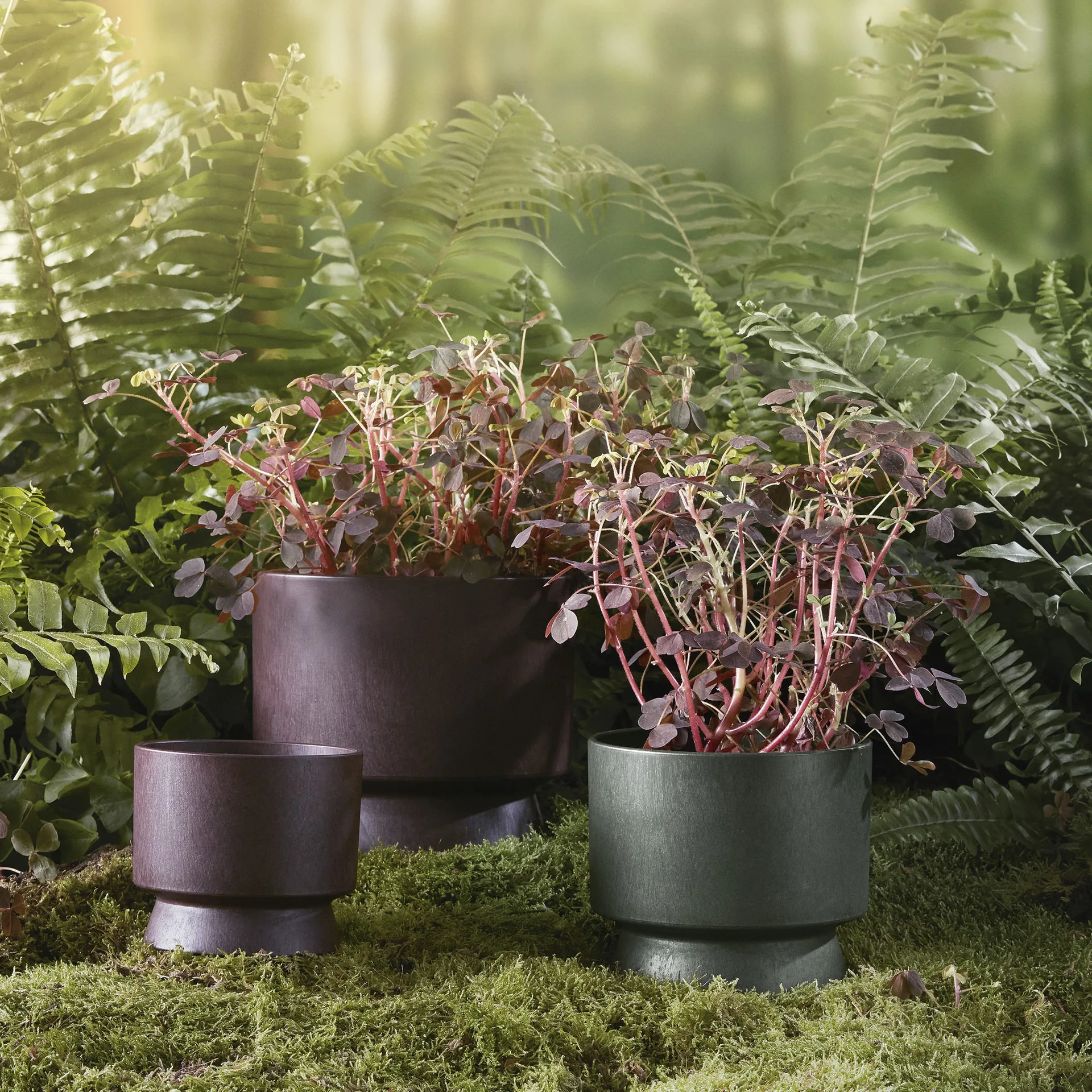 Ro γλάστρα Ø12 cm, Μπορντό Rosendahl