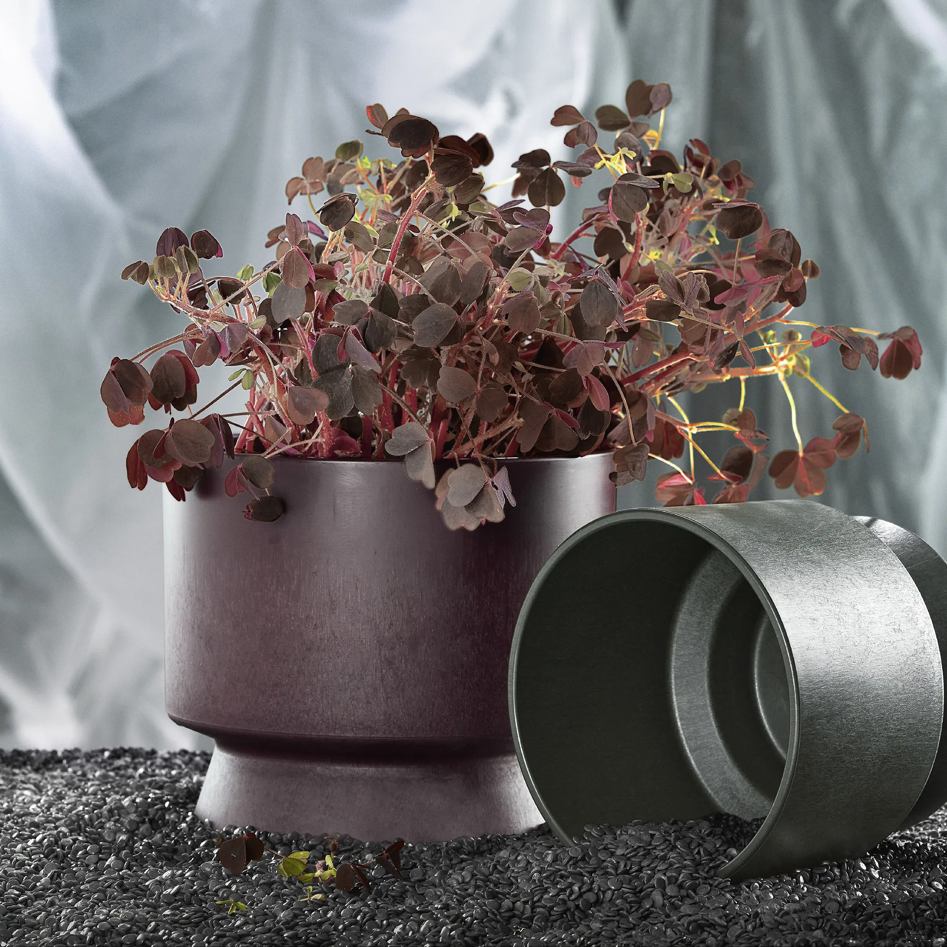 Ro γλάστρα Ø19 cm, Μπορντό Rosendahl