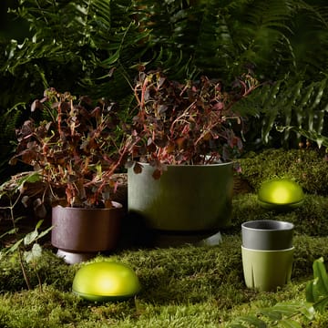 Soft Spot LED φωτιστικό 11 cm - Πράσινο της ελιάς - Rosendahl