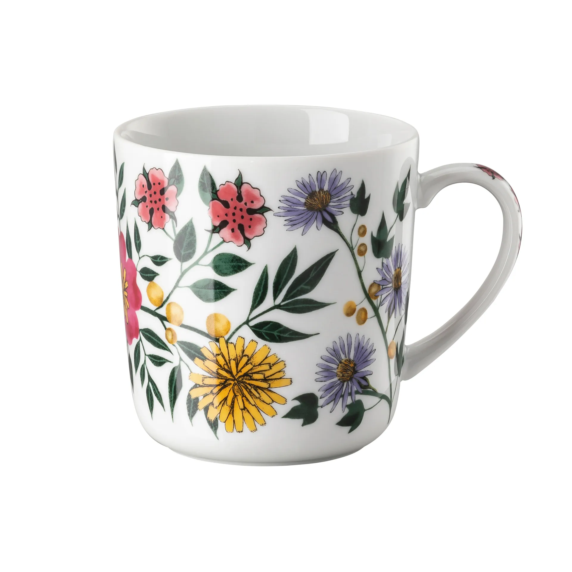 Magic Garden Blossom κούπα 38 cl, πολύχρωμο Rosenthal