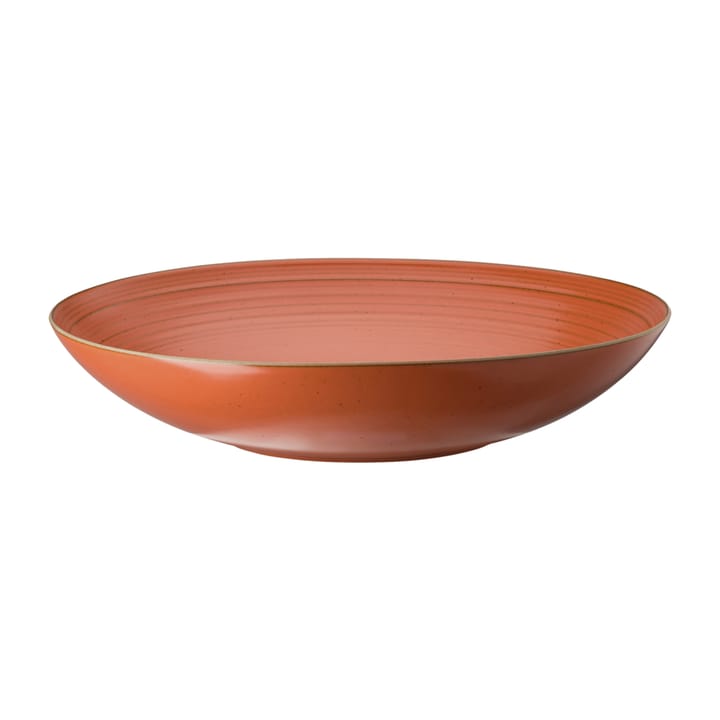 Πήλινο βαθύ πιάτο, Thomas, Ø28 εκ - Β�ερυκοκί - Rosenthal