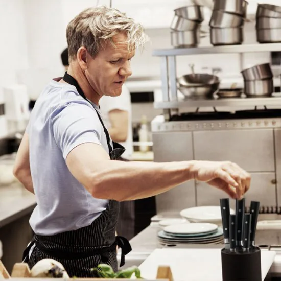 Gordon Ramsey θήκη για μαχαίρια, 5 τεμάχια Royal Doulton