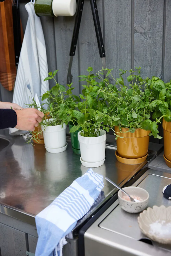 Βαζάκι για βότανα Elise Ø11 cm, Λευκό Sagaform