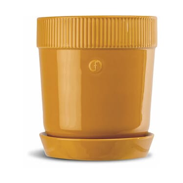 Βαζάκι για βότανα Elise Ø11 cm - Κίτρινο - Sagaform