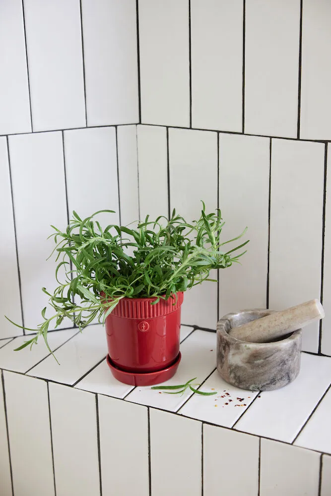 Βαζάκι για βότανα Elise Ø11 cm, Μπορντό Sagaform