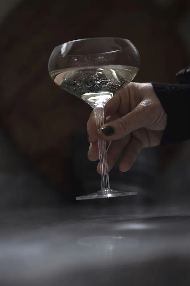 Saga ποτήρι για κοκτέιλ συσκευασία τεμαχίων, Διαφανές Sagaform