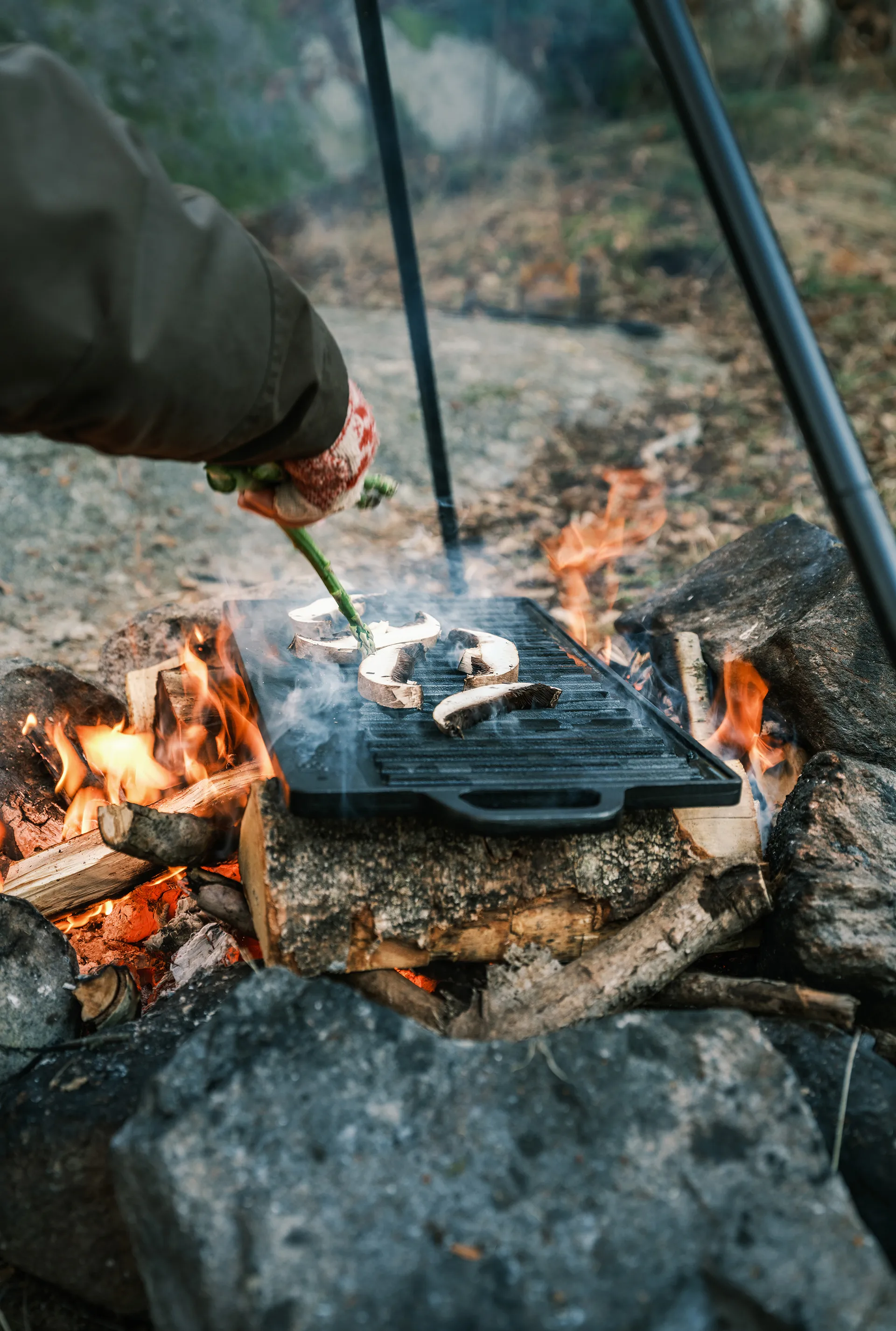 Satake επιφάνεια τηγανίσματος για γκριλ, 23x42 cm Satake