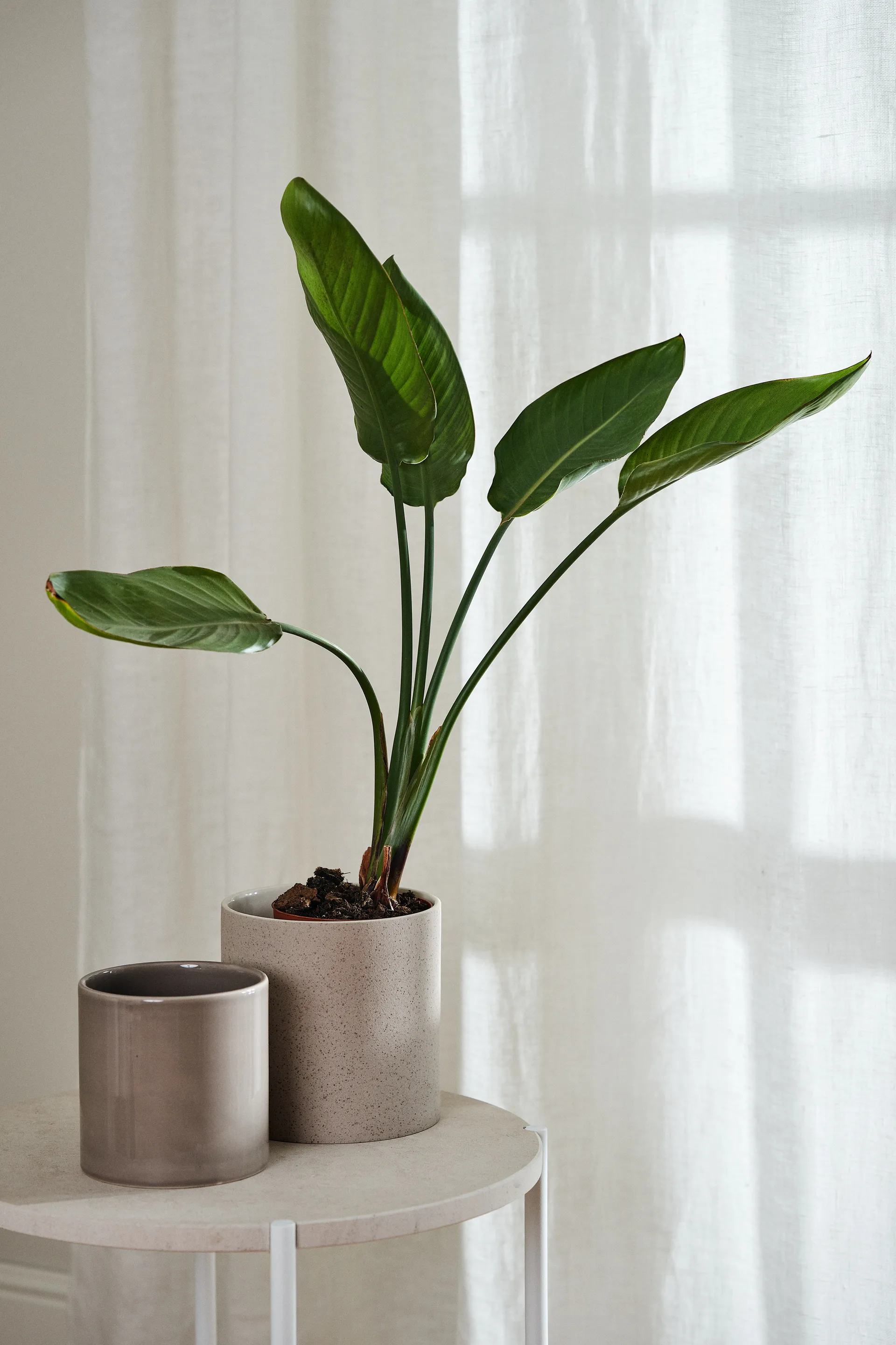 Κουρτίνα, Tranquility, με πολλές λωρίδες 139x250 εκ, Λευκό Scandi Living