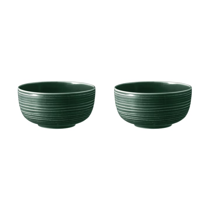 Terra bowl Ø17,7 εκ, συσκευασία 2 τεμαχίων - Πράσινο του βρύου - Seltmann Weiden
