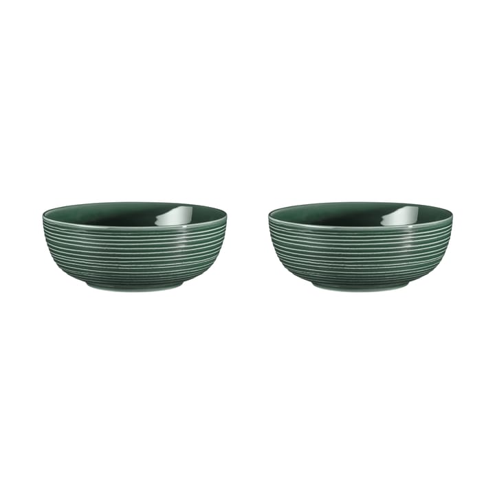 Terra bowl Ø20.4 εκ, συσκευασία 2 τεμαχίων - Πράσινο του βρύου - Seltmann Weiden