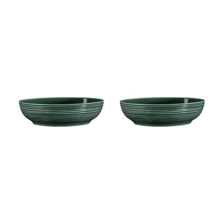 Terra bowl Ø25,5 εκ, συσκευασία 2 τεμαχίων - Πράσινο του βρύου - Seltmann Weiden