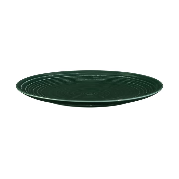 Terra plate Ø22,7 εκ συσκευασία 6 τεμαχίων - Πράσινο του βρύου - Seltmann Weiden