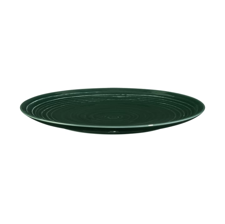 Terra plate Ø22,7 εκ συσκευασία 6 τεμαχίων, Πράσινο του βρύου Seltmann Weiden