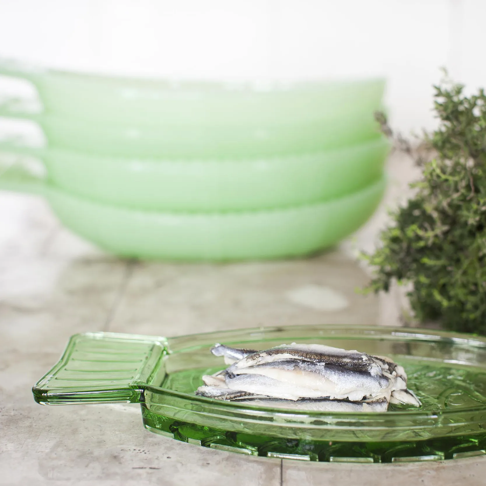 Fish & Fish πιάτο 10x23 cm, πράσινο Serax