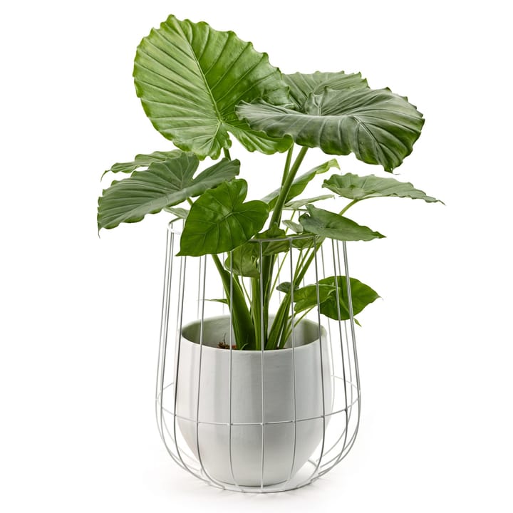 Serax γλάστρα σε καλάθι Ø37 cm, λευκό Serax
