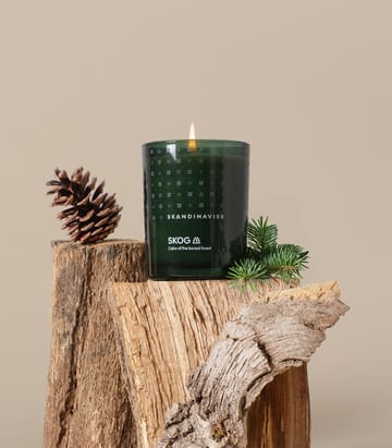 Skog αρωματικό κερί με καπάκι - 65 g - Skandinavisk