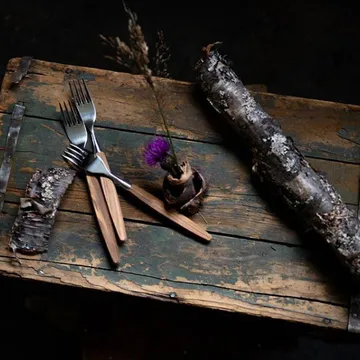 Skaugum πιρούνι συσκευασία 6 τεμαχίων Ecco Teak - Skaugum of Norway