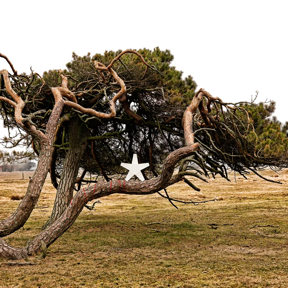 Advent  Αστέρι Χριστουγέννων, Γκρι-40 cm-ανοιχτό γκρι υφασμάτινο καλώδιο SMD Design