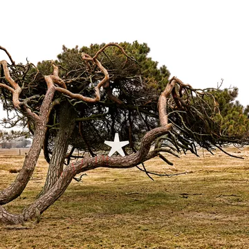 Advent  Αστέρι Χριστουγέννων - Γκρι-40 cm-ανοιχτό γκρι υφασμάτινο καλώδιο - SMD Design