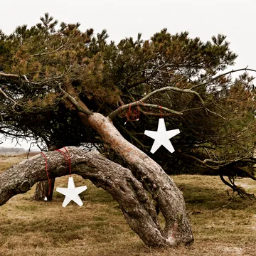 Advent  Αστέρι Χριστουγέννων - Γκρι-40 cm-ανοιχτό γκρι υφασμάτινο καλώδιο - SMD Design