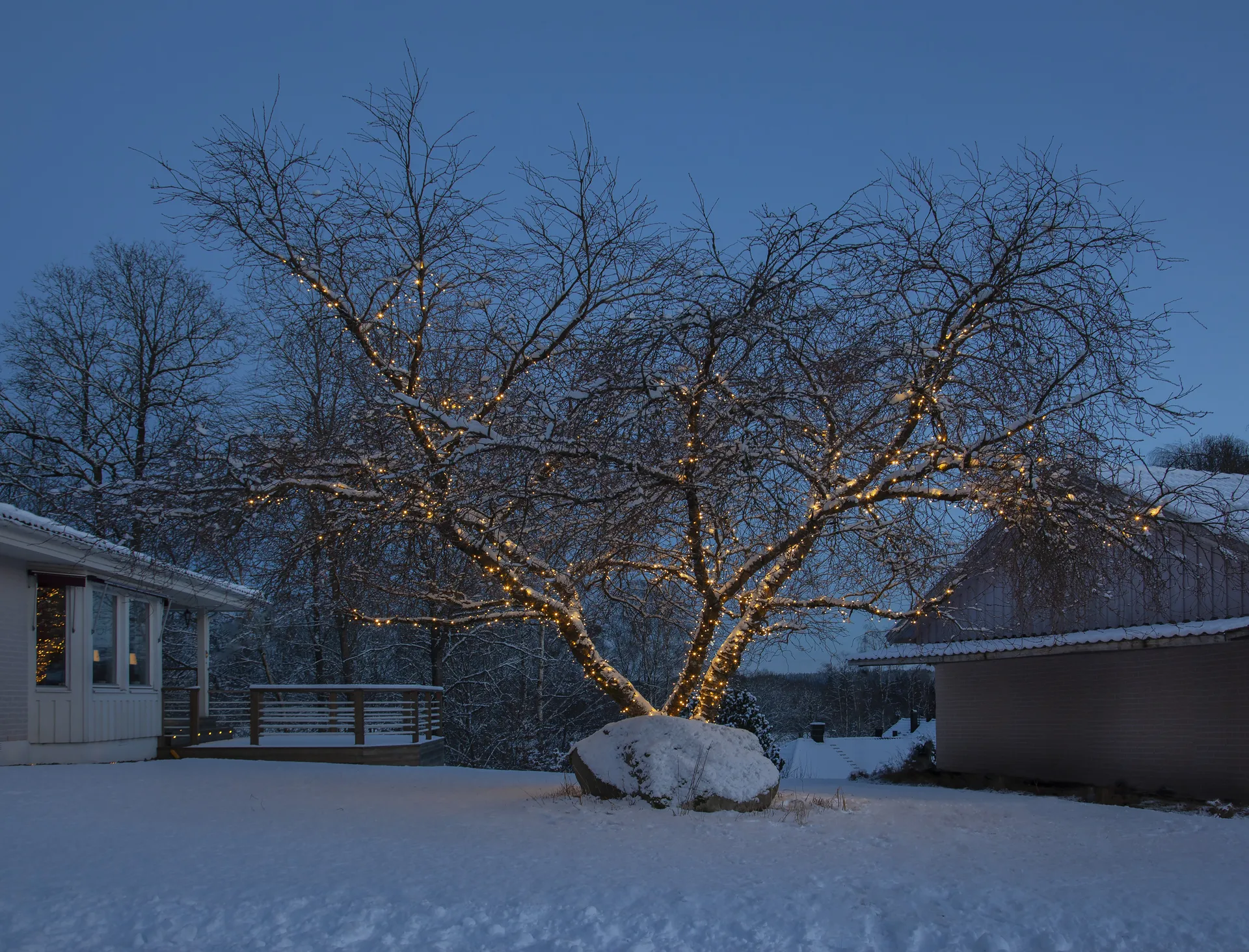 Star Trading system LED καλώδιο εκκίνησης, 180 εκ. Star Trading