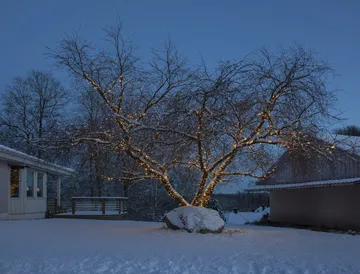 Star Trading system LED καλώδιο εκκίνησης - 180 εκ. - Star Trading