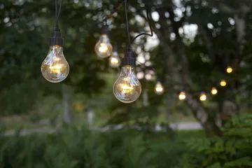 Star Trading system LED extra γιρλάντα φωτισμού - 500 εκ. - Star Trading