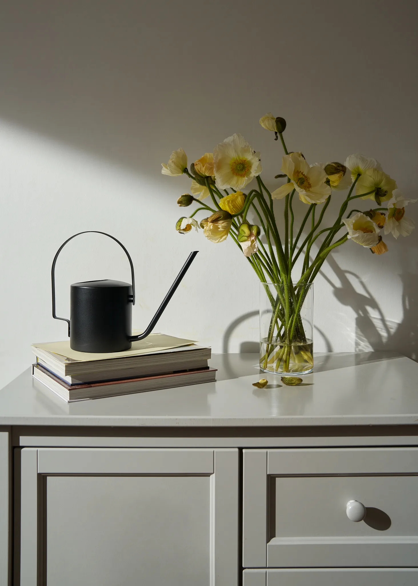 Original ποτιστήρι 1,7 l, Soft black Stelton