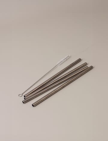 Stelton επαναχρησιμοποιήσιμα καλαμάκια 4-pack - Steel - Stelton