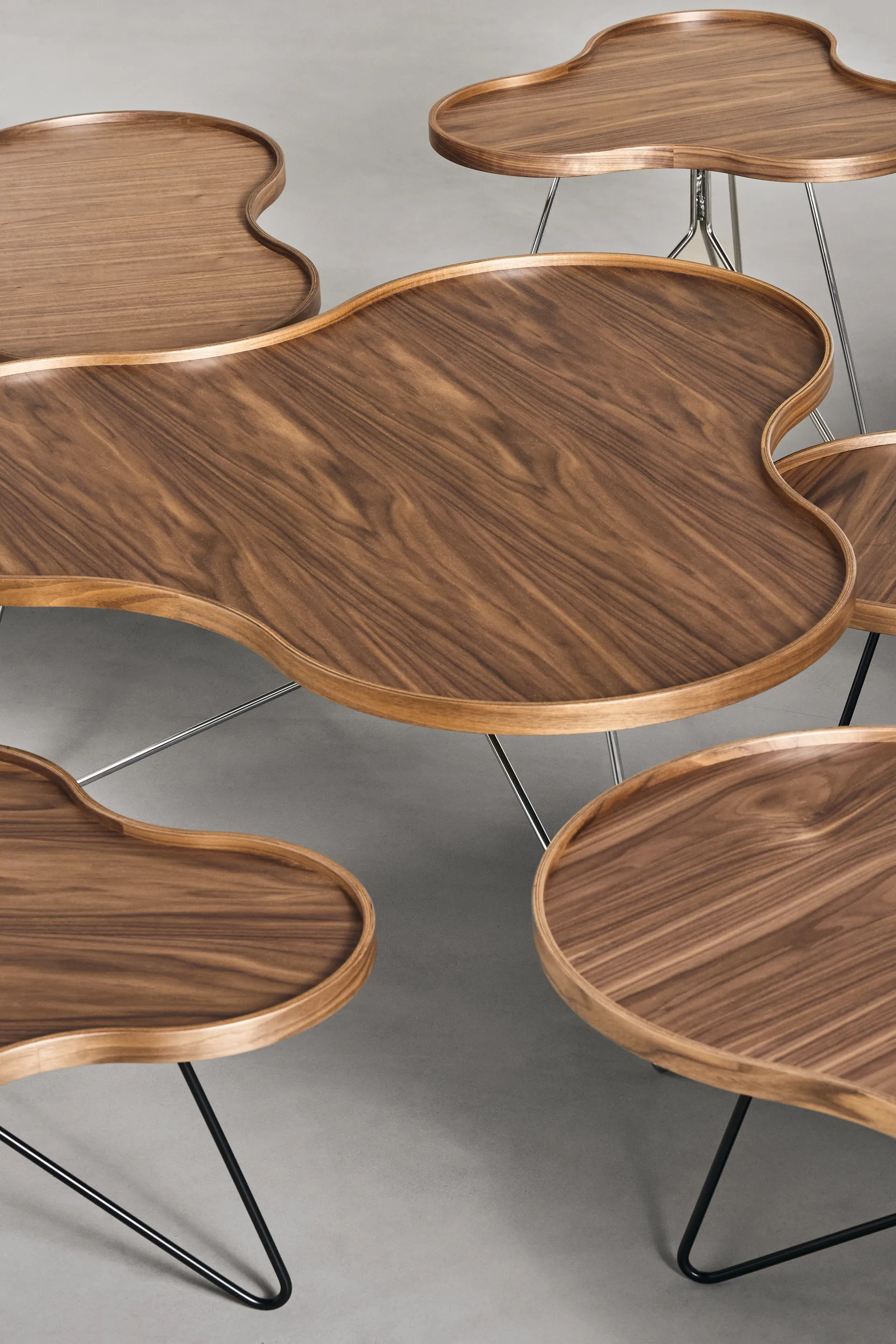 Flower mono τραπέζι Special Edition 107x114 εκ., Ύψος 39 εκ. – βαμμένο καρύδι – μαύρο βαμμένο ατσάλι Swedese