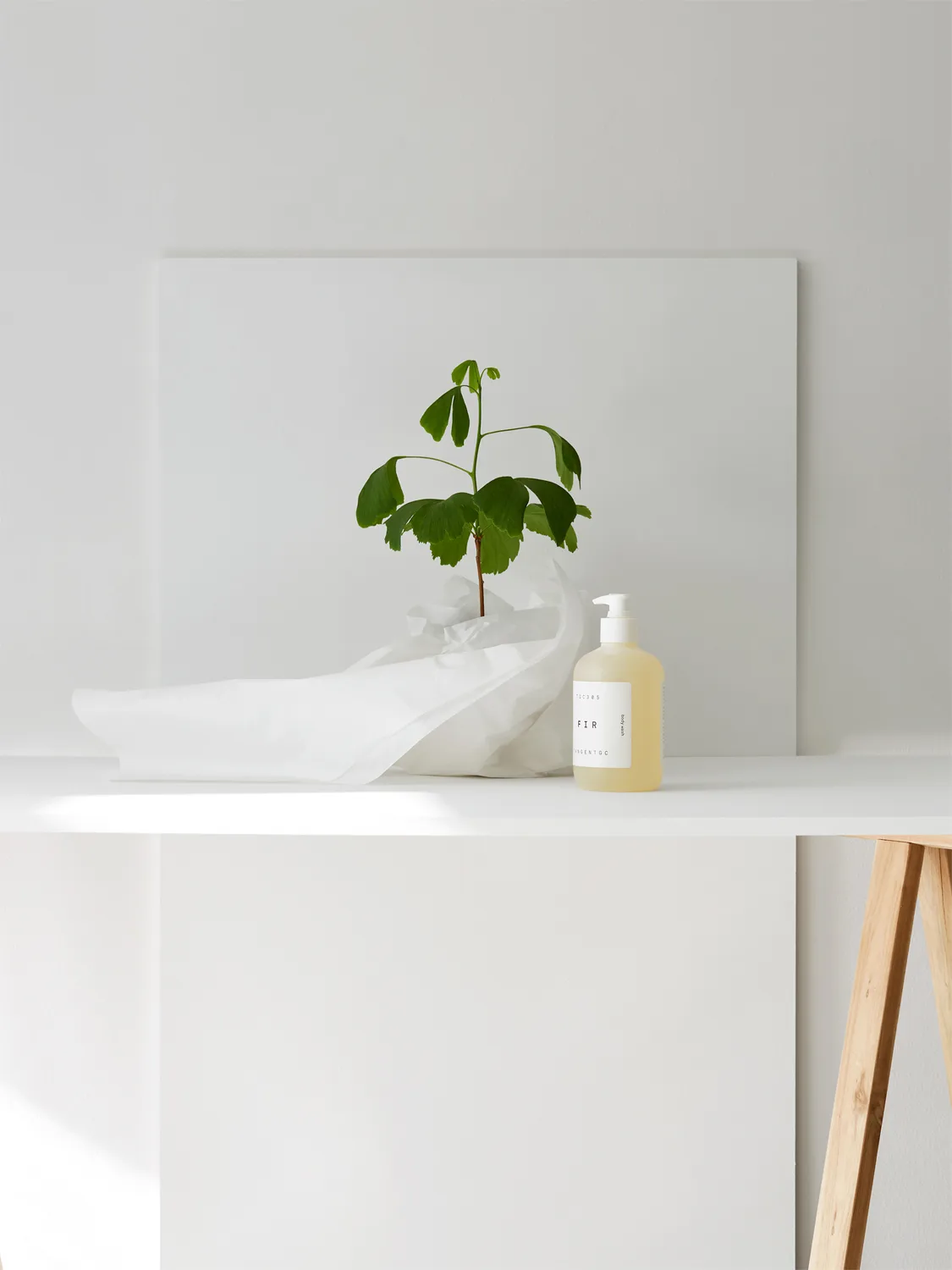 Σαπούνι χεριών Kiyomi, 350 ml Tangent