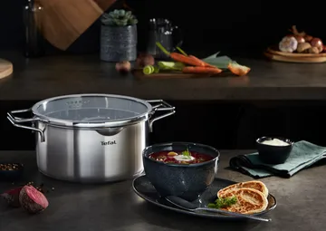 Nordica ταψί από ανοξείδωτο ατσάλι - 2,5 l - Tefal