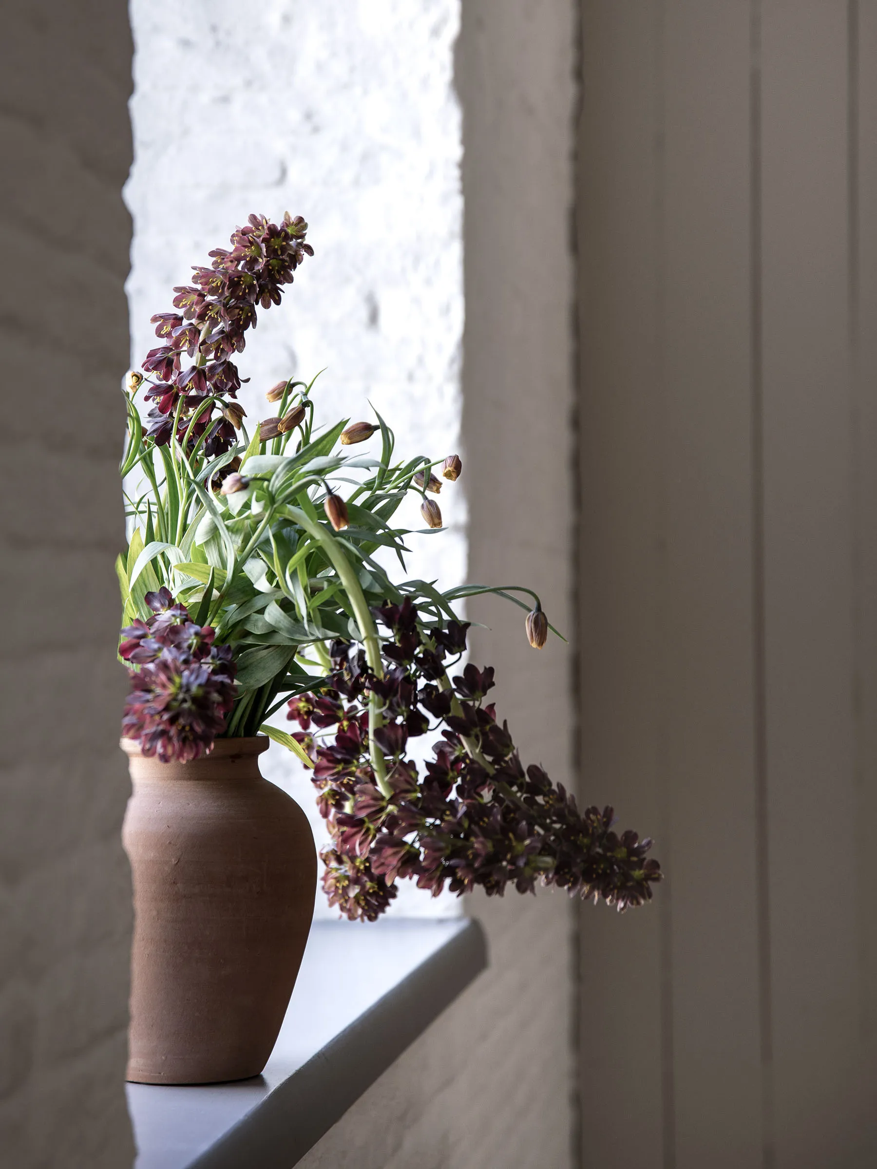 Τεφροδόχος μεσαία Terracina 26 εκ., Τερακότα Tell Me More