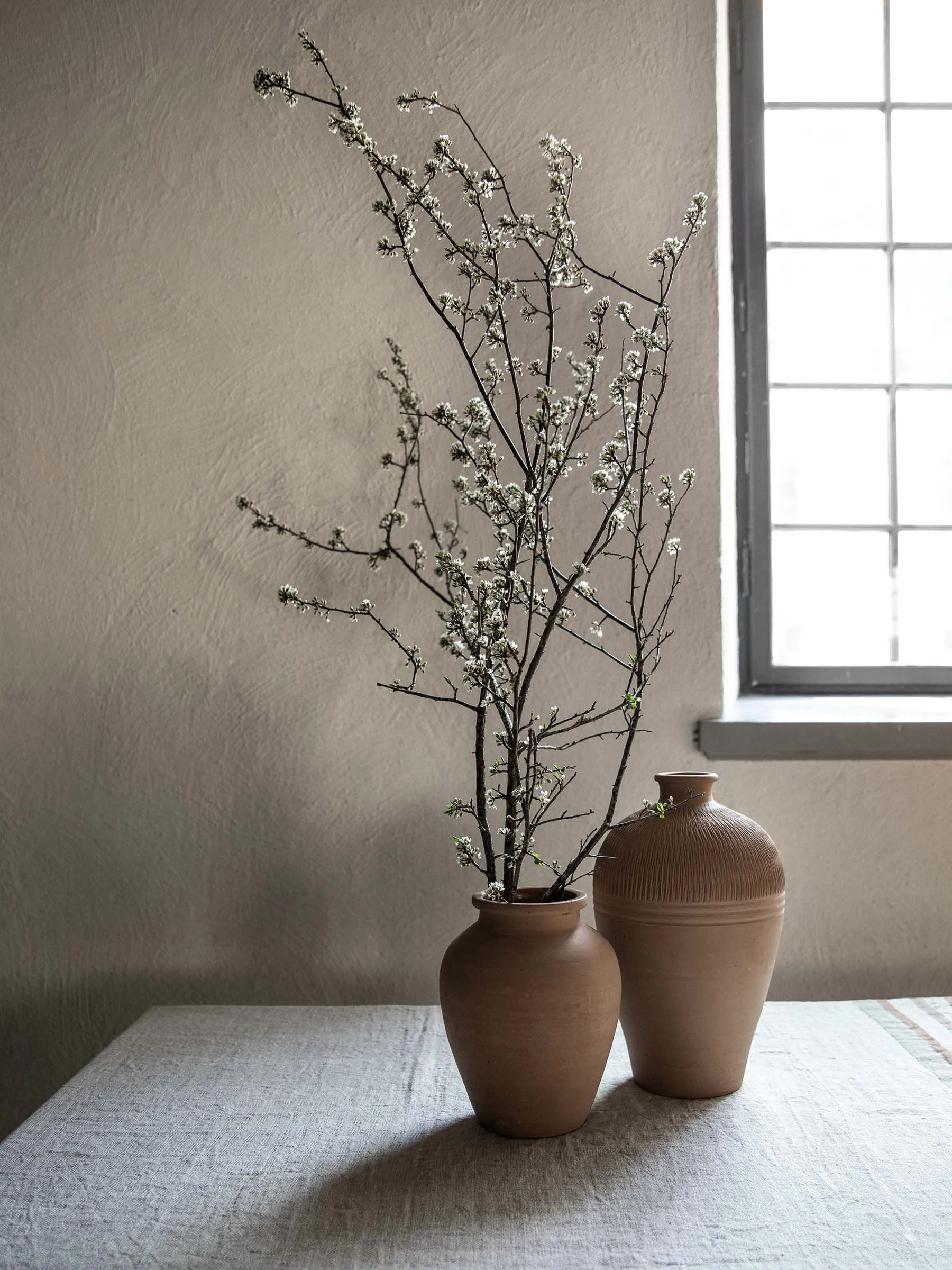 Τεφροδόχος μεσαία Terracina 26 εκ., Τερακότα Tell Me More