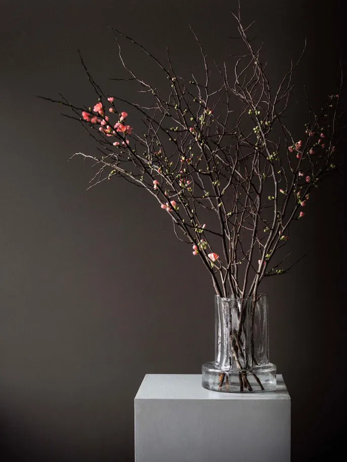 Βάζο Vienna 25 cm, Clear Tell Me More